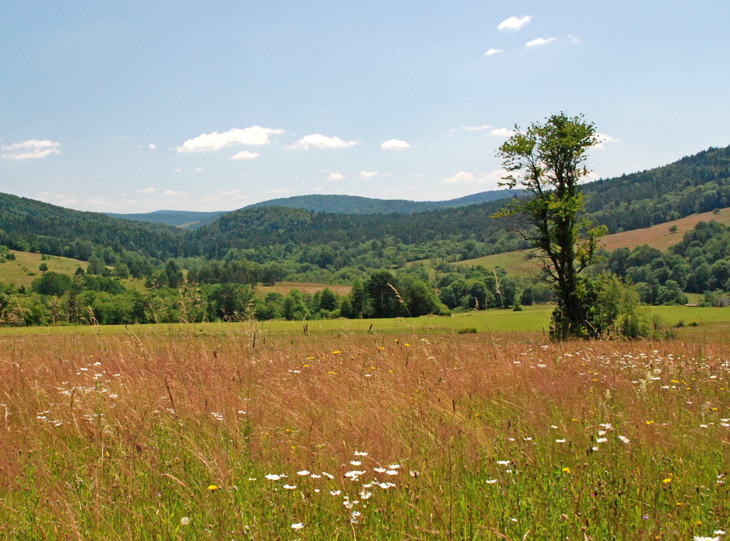K-21 KTG Beskid Niski – Ambrowska