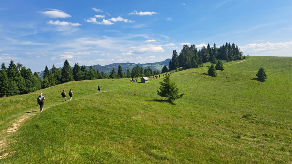 K-21 KTG Beskid Sądecki – Jarzębackie i Zadnie Góry