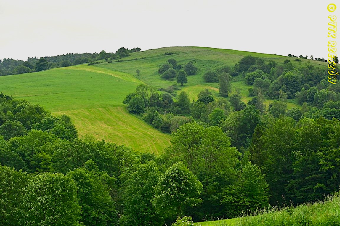 k-32 Beskid Niski – Bucznik, Świerzowa, Magura
